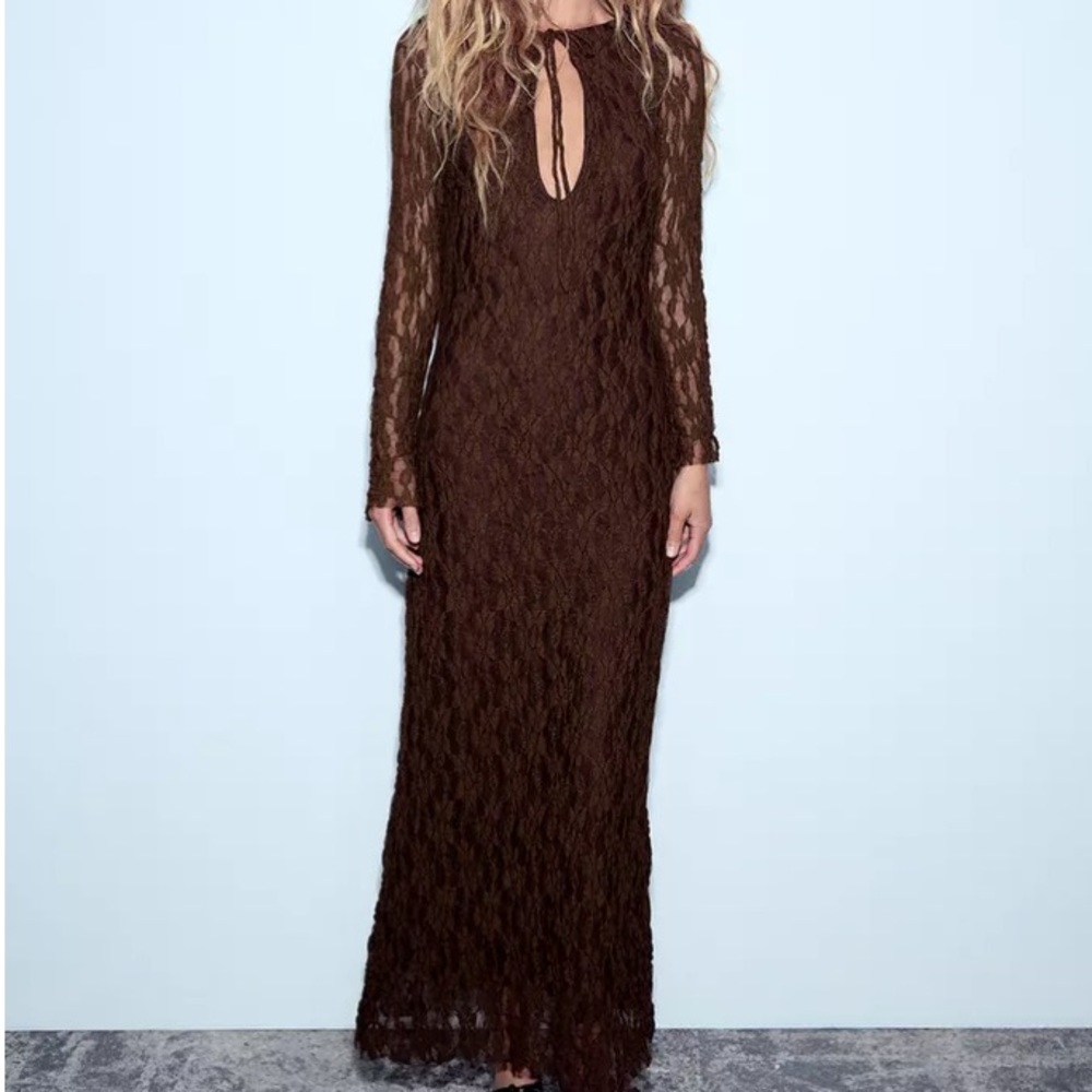 Zara brown lace dress
